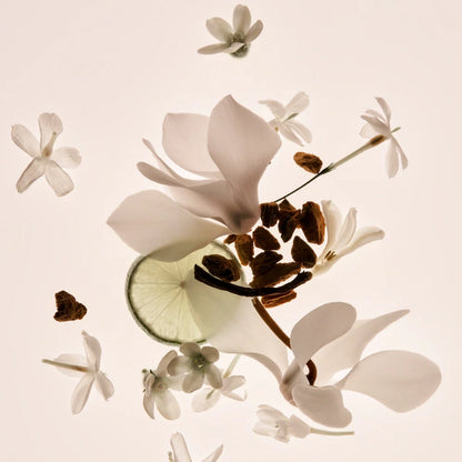 Missing Person Perfume 50 mL